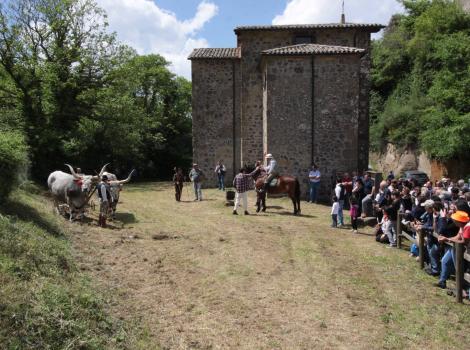 Festa di Sant’Isidoro agricoltore 2026