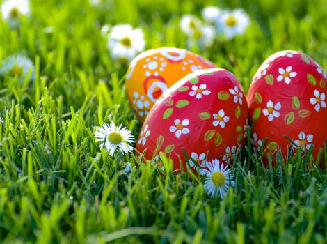 Pasquetta tra sentieri e sapori a Latera